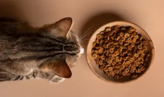 Szczegółowa analiza składników